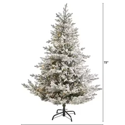 Outlet 6 ft. Clear Lit Flocked Fraser Fir Christmas Tree Christmas Trees