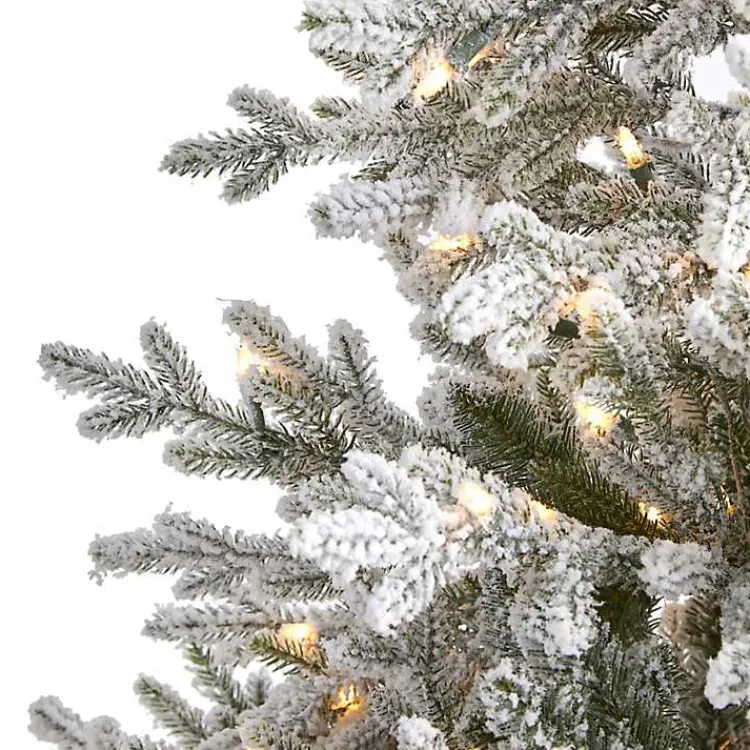 Outlet 6 ft. Clear Lit Flocked Fraser Fir Christmas Tree Christmas Trees