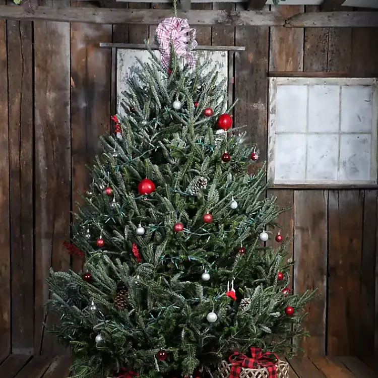 Sale 6 ft. Fresh Cut Fraser Fir Christmas Tree Christmas Trees