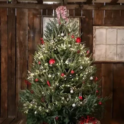 Hot 7 ft. Fresh Cut Fraser Fir Christmas Tree Christmas Trees