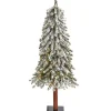 Online 4 ft. Lit Flocked Grand Alpine Christmas Tree Christmas Trees