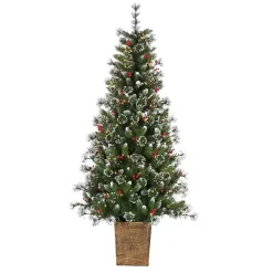 New 6 ft. Lit Glazier Pine Planter Christmas Tree Christmas Trees