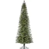 Clearance 10 ft. Lit Narrow Jackson Pine Christmas Tree Christmas Trees