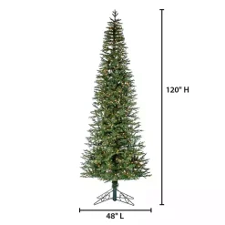 Clearance 10 ft. Lit Narrow Jackson Pine Christmas Tree Christmas Trees