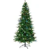 6 ft. Pre-Lit Globe Light Duxbury Christmas Tree Christmas Trees