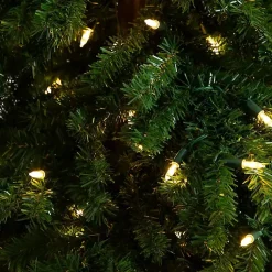 Online 7 ft. Pre-Lit Green Santa Hat Christmas Tree Christmas Trees