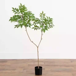 Hot 3.5 ft. Sumac Tree in Nursery Planter Trees & Topiaries