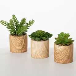 Clearance Assorted Succulents in Wooden Pots, Set of 3 Arrangements & Greenery