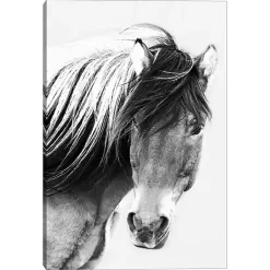 Kirklands Home Canvas Art|At First Glance Canvas Art Print