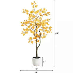 New Autumn Birch Tree in Decorative Planter, 4 ft. Trees & Topiaries