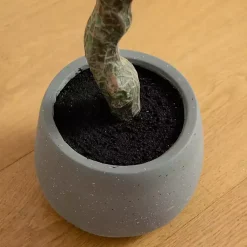 New Autumn Dogwood Tree in Decorative Planter, 6 ft. Trees & Topiaries