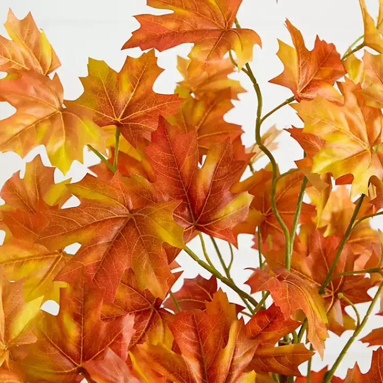 Hot Autumn Maple Double Trunk Tree, 5 ft. Trees & Topiaries
