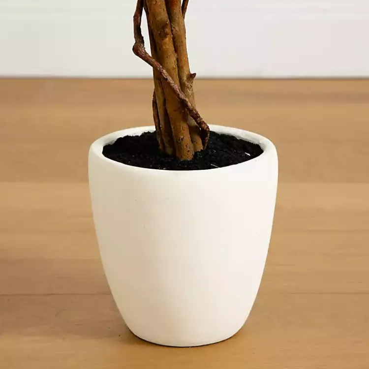 Hot Autumn Maple Double Trunk Tree, 5 ft. Trees & Topiaries