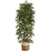 Sale Bamboo Tree in Woven Basket, 6 ft. Trees & Topiaries