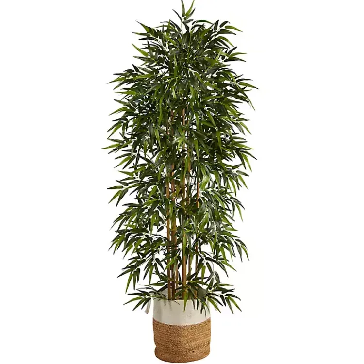 Sale Bamboo Tree in Woven Basket, 6 ft. Trees & Topiaries
