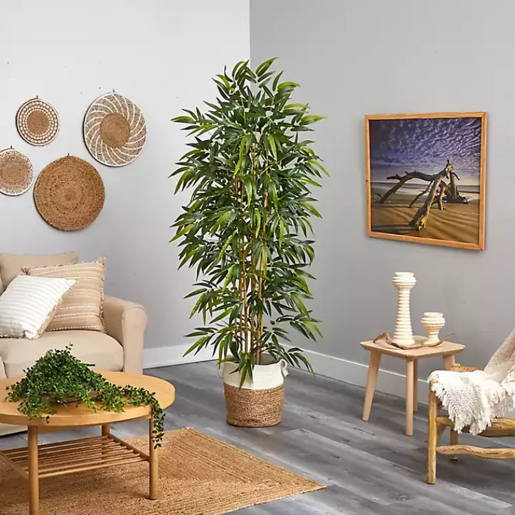 Sale Bamboo Tree in Woven Basket, 6 ft. Trees & Topiaries