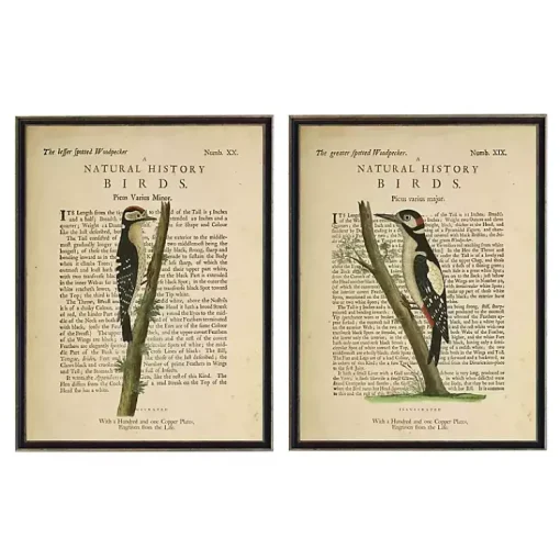 Kirklands Home Framed Art|Birds Diagram II Framed Art Prints, Set of 2 Ivory