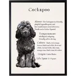 Kirklands Home Wall Quotes & Signs|Black Cockapoo Facts Framed Wall Plaque