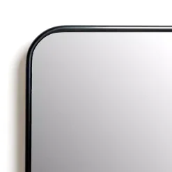 Kirklands Home Framed Mirrors|Black Nouveau Panel Wall Mirror