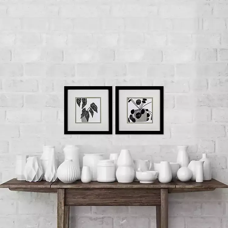 Kirklands Home Framed Art|Black Plantling II Framed Art Prints, Set of 2