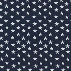 Kirklands Home Outdoor Cushions & Pillows|Blue and White Stars Outdoor Loveseat Cushion