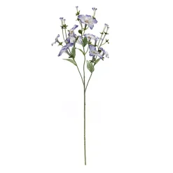 New Morning Glory Flower Sprays, Set of 6 Stems & Bouquets