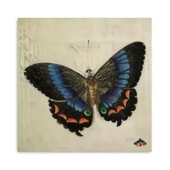 Kirklands Home Canvas Art|Blue Vintage Butterfly Canvas Art Print