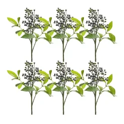Outlet Blueberry Foliage Sprays, Set of 6 Stems & Bouquets