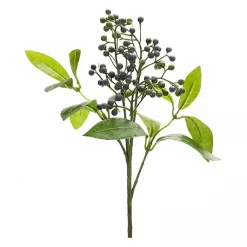 Outlet Blueberry Foliage Sprays, Set of 6 Stems & Bouquets
