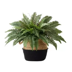 Clearance Boston Fern Arrangement in Woven Basket DIY Kit Arrangements & Greenery