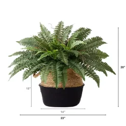 Clearance Boston Fern Arrangement in Woven Basket DIY Kit Arrangements & Greenery
