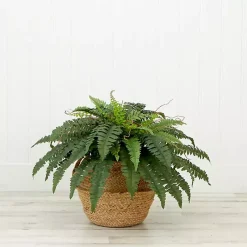 Clearance Boston Fern Arrangement in Brown Basket DIY Kit Arrangements & Greenery
