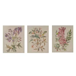 Kirklands Home Canvas Art|Botanical Linen Art Prints, Set of 3 Multi