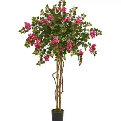 Hot Bougainvillea Tree, 5.5 ft. Trees & Topiaries