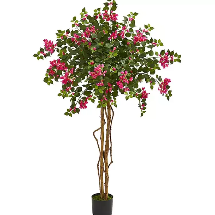 Hot Bougainvillea Tree, 5.5 ft. Trees & Topiaries