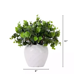 Clearance Boxwood Arrangement in White Planter Arrangements & Greenery