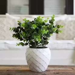 Clearance Boxwood Arrangement in White Planter Arrangements & Greenery