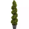 Boxwood Spiral Topiary, 48 in. Trees & Topiaries