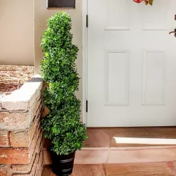 Boxwood Spiral Topiary, 48 in. Trees & Topiaries