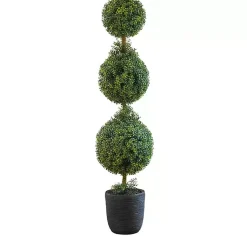 Clearance Boxwood Triple Topiary in Decorative Black Pot Trees & Topiaries