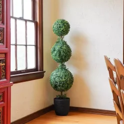 Clearance Boxwood Triple Topiary in Decorative Black Pot Trees & Topiaries