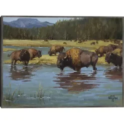 Kirklands Home Canvas Art|Buffalo Crossing Framed Canvas Art Print Multi