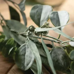 Hot Cali Eucalyptus Garland Stems & Bouquets