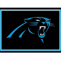 Kirklands Home Area Rugs|Carolina Panthers Area Rug, 3x4 Black