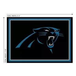 Kirklands Home Area Rugs|Carolina Panthers Area Rug, 4x6 Black