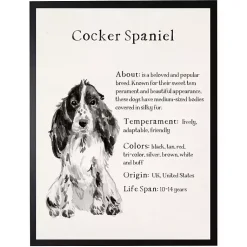Kirklands Home Wall Quotes & Signs|Cocker Spaniel Facts Framed Wall Plaque