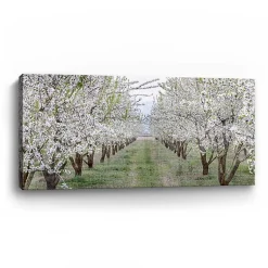 Kirklands Home Canvas Art|Countryside Path Canvas Art Print