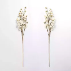 New Cream Everlasting Flower Stems, Set of 2 Stems & Bouquets
