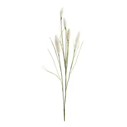 New Cream Foxtail Sprays, Set of 6 Stems & Bouquets