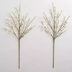 Hot Cream Willow Stems, Set of 2 Stems & Bouquets